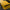 Yellow Dodge Challenger with HELLCAT SHIROKAI widebody kit featuring aggressive front fender flares and black racing stripes