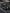 Ford Mustang S550 widebody kit SHIROKAI on black sports car with green racing stripes and large rear wing