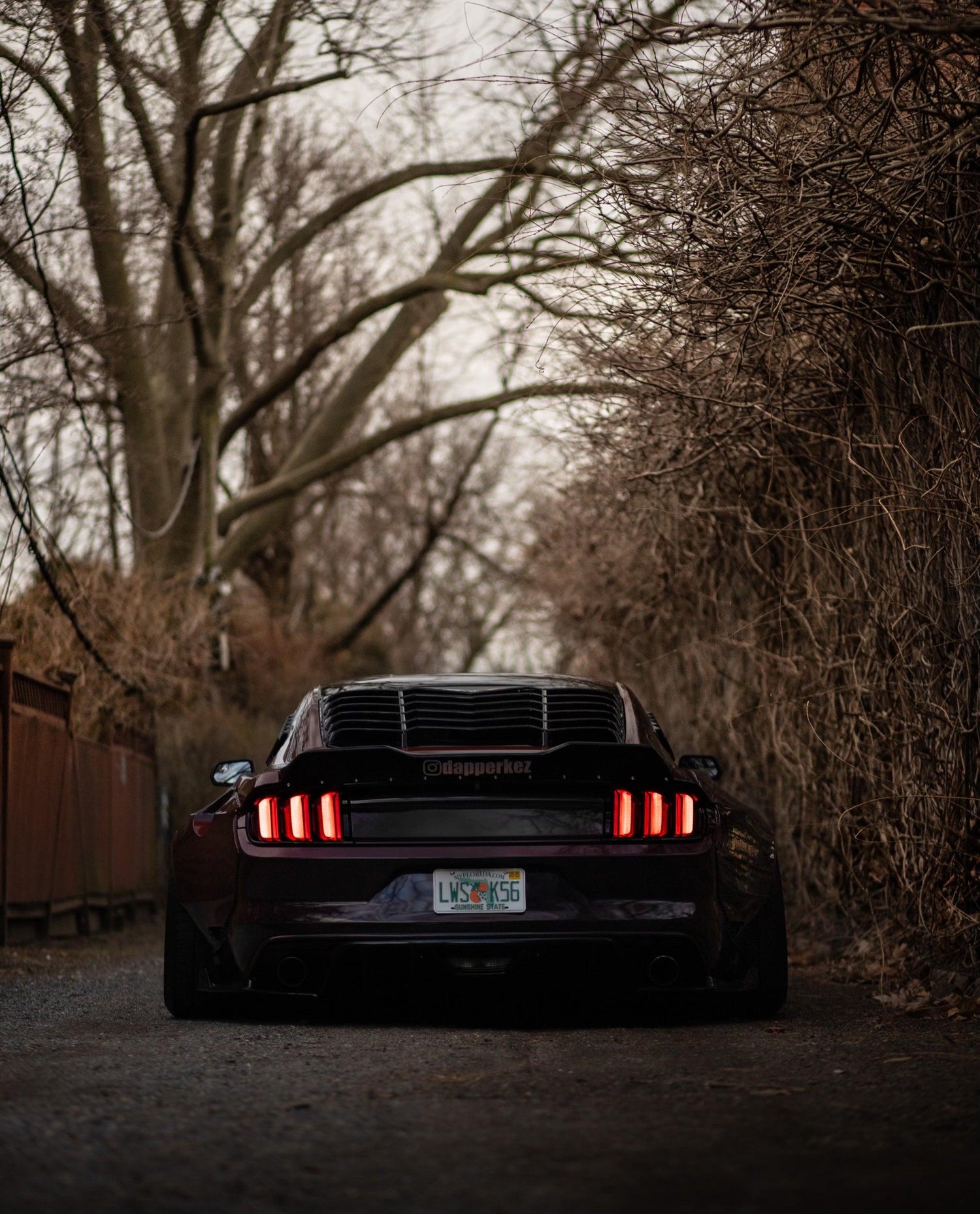Rear view of a black Ford Mustang S550 with Ford Mustang S550 widebody kit SHIROKAI installed on a forest road